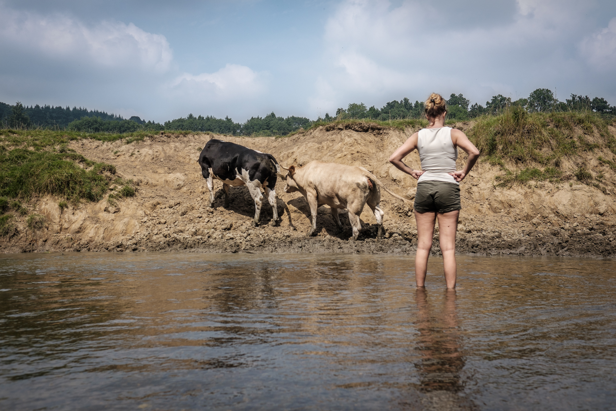 2016-07-colour-impressions-Near Dinant, Belgium-01